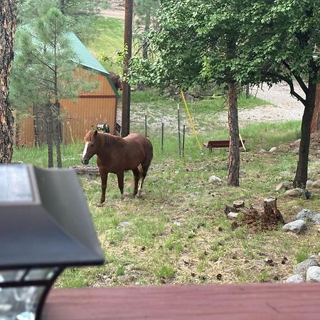 Gonzales Cozy Little Bear Cabin Ruidoso Esterno foto