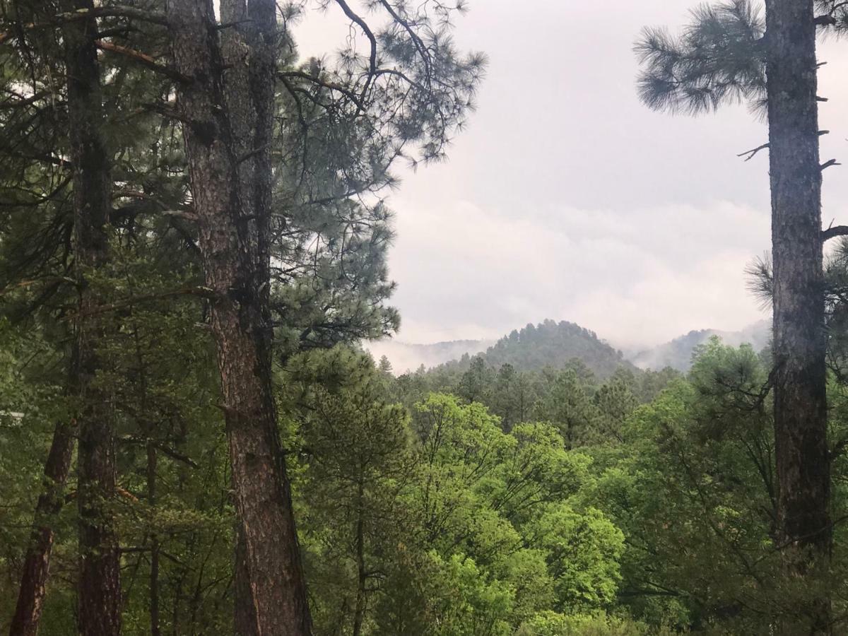 Gonzales Cozy Little Bear Cabin Ruidoso Esterno foto